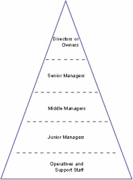 Boots Organisational Structure Chart